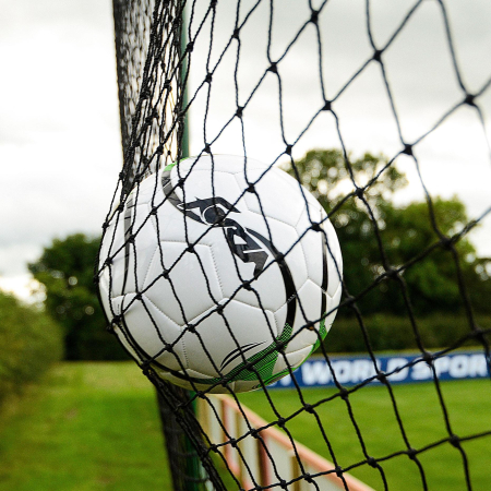 Sports Netting Panels (Standard Sizes)