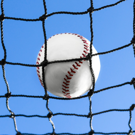 Fully Edged Baseball Net | Net World Sports