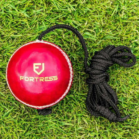 Plastic Cricket Balls On A String For Juniors | Net World Sports