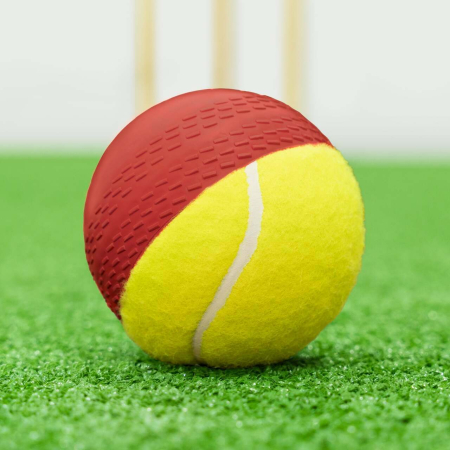 FORTRESS Cricket Swing Balls | Net World Sports