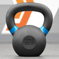 METIS Pro Kettlebells [12kg]