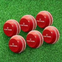 FORTRESS Technique Cricket Balls [Pack of 6]