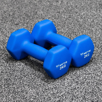 METIS Neoprene Hex Dumbbells [2kg] - Pair