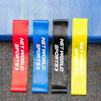 Resistance Bands [Pack of 4] 
