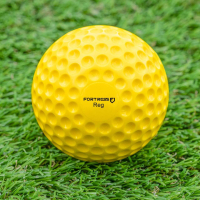 FORTRESS Cricket Bowling Machine Balls [Regular] – 12 Pack