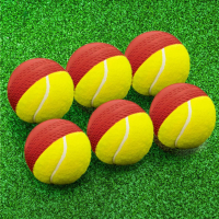 FORTRESS Cricket Swing Balls [Pack of 6]