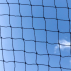 28mm Mesh 1mm Polyethylene Bird Netting Sparrow