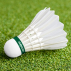 Vermont Elite 2000 Badminton Shuttlecocks 