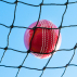 2mm HDPP Cricket Netting With 48mm Knotted Mesh | Net World Sports