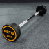 Metis Rubber Barbell Weights [10kg-30kg] | Net World Sports