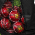 Store & Transport Up To 36 Cricket Balls | Net World Sports