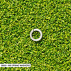 M8 Spring Washer