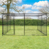 Harrier Poultry, Chicken & Animal Walk-In Cage
