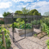 Harrier Walk-In Fruit & Veg Garden Cage