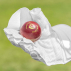 FORTRESS Wicket Keeper Gloves | Net World Sports