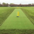FORTRESS Cricket Matting (Special Offer) | Net World Sports