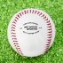 FORTRESS SL100 9” Split Leather Baseball | Net World Sports