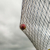 Cricket Ball Stop Netting System | Net World Sports