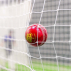 FORTRESS Club Crown Cricket Balls [Red/White/Pink]