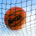 Basketall Bal Stop Netting | Net World Sports