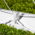 Heavy Duty Goal Netting With Plastic Net Clips | Net World Sports