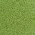 Easy To Apply Cricket Mat Adhesive Glue | Cricket Matting | Cricket | Net World Sports