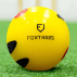 FORTRESS Cricket Coachaballs [Pack of 6]