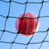 Cricket Ball Stop Netting | Net World Sports