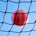 Cricket Warm-Up / Throw-Down Practice Net