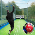 FORTRESS Cricket Ball Thrower [2 Sizes]