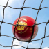 FORTRESS Drop In Cricket Nets - All Sizes [Heavy Duty/Ultra Heavy Duty]