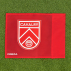 Custom Corner Flags [9x Colour Options]