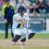 FORTRESS English Willow Cricket Bat [4 Grades]