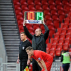 Professional Standard Football Substitution Board 