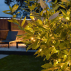 Harrier LED Fairy Lights | Net World Sports