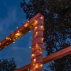 Harrier LED Fairy Lights | Net World Sports
