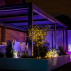 Harrier LED Fairy Lights | Net World Sports