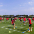 FORZA Training Marker Cones [10 Colours]