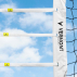 Volleyball Buckle Tension Strap