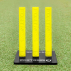 FORTRESS Flexi Cricket Stumps [Full Set] | Net World Sports