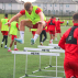 Alloy Hurdles	