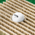 FORB Bunker Practice Mat (Golf Set)