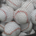 FORTRESS Baseball Ball Carry Bag | Net World Sports