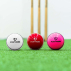 FORTRESS Cricket 'Incrediball' Practice Balls [Box of 6]