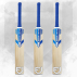 3x Kashmir willow cricket bats 
