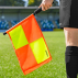 FORZA Pro Linesman Flags [2 Pack] 