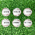 FORZA Match Hurling Ball | Net World Sports
