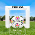 FORZA World’s Smallest Target Goal