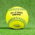 FORTRESS 12” Slow Pitch PVC Softball │ Net World Sports