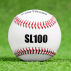 FORTRESS SL100 9” Split Leather Baseball | Net World Sports